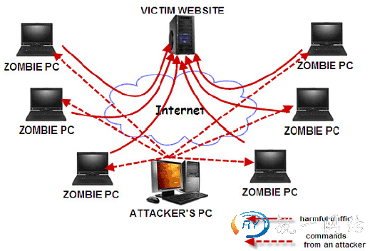 香港高防服务器多少能防的住