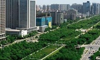 为何美国高防服务器如此受欢迎？