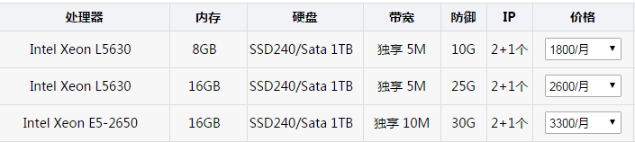 锐一网络提供的香港高防服务器多少钱一个月？