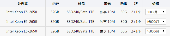 高防服务器价格-标准版