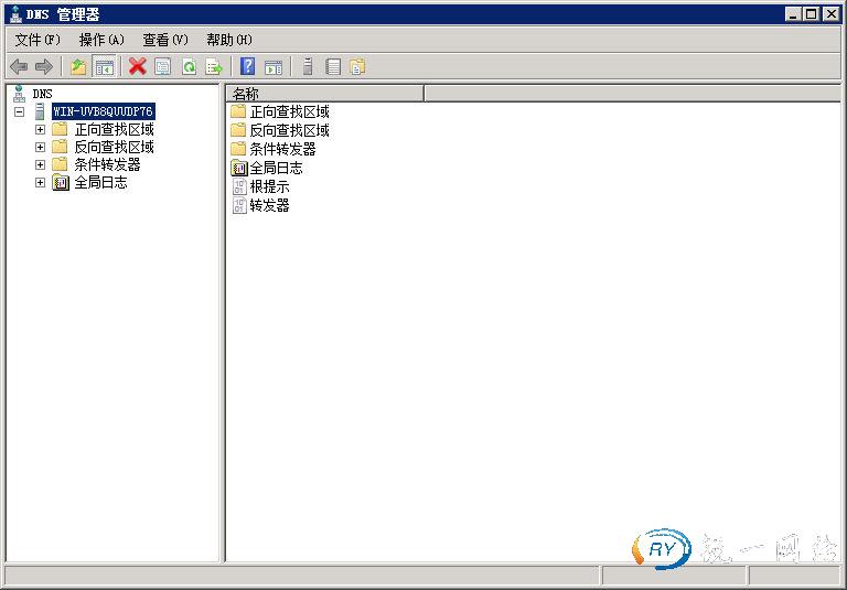 打开DNS管理器页面