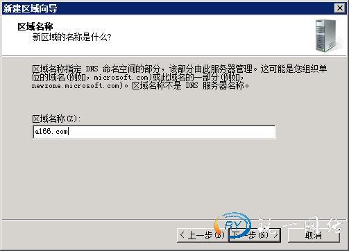 输入DNS区域的全名