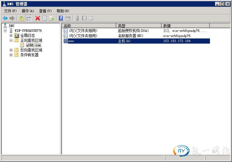 DNS管理器显示www主机
