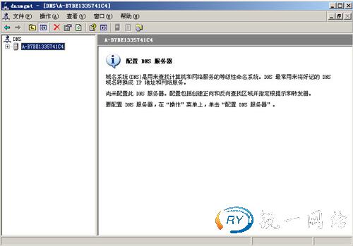 DNS服务器配置界面