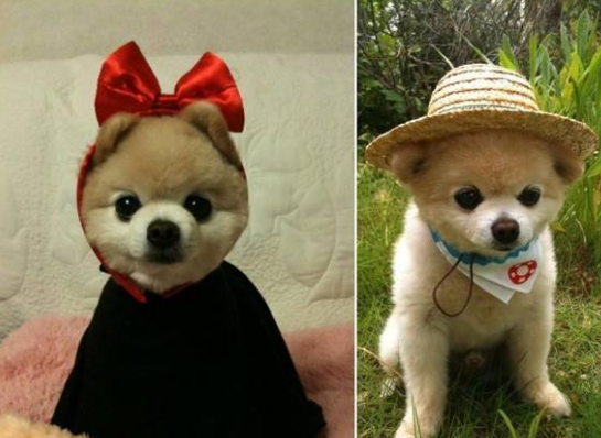 putty远程centos系统